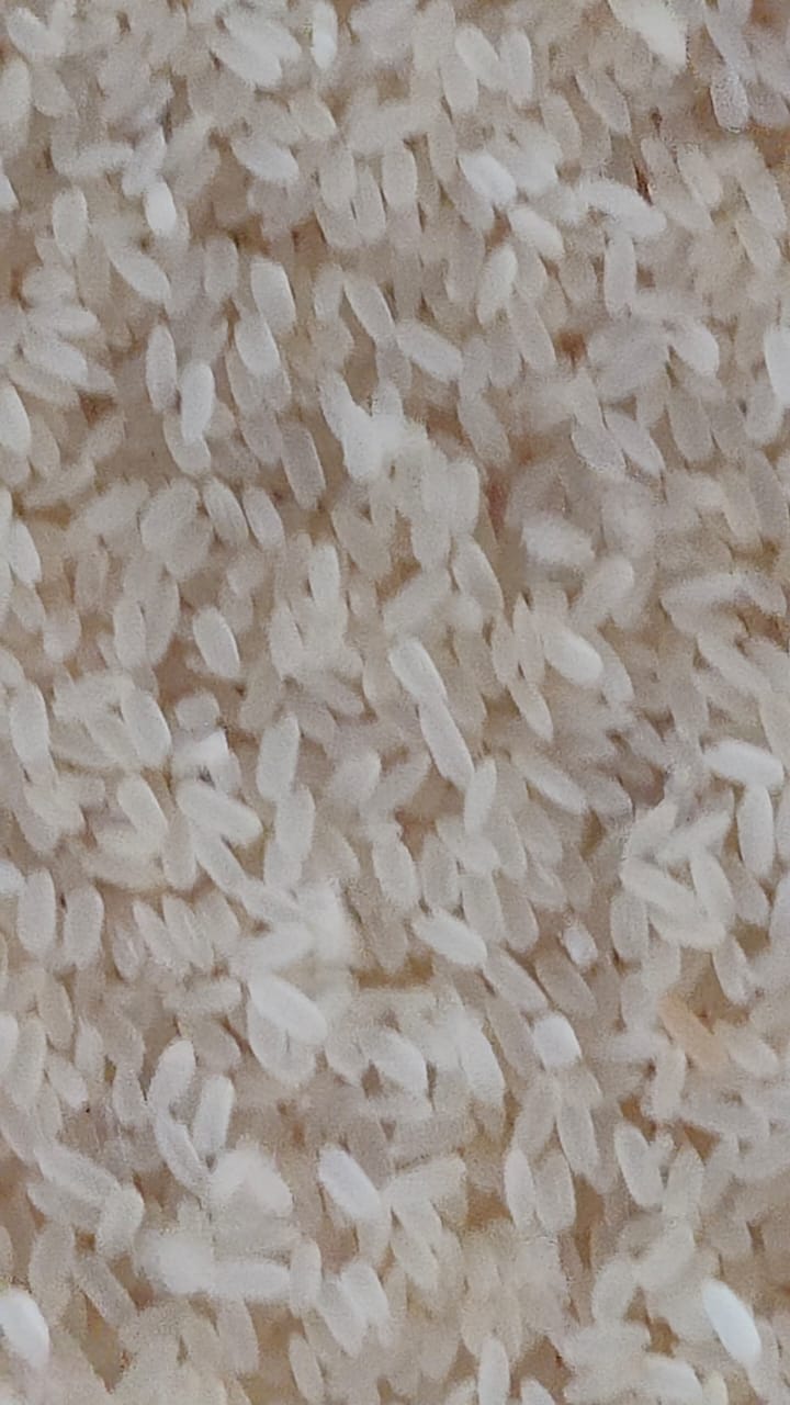 WhatsApp Image 2025-07-08 at 3.23.15 PM.jpeg